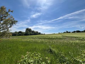 View from Garden- click for photo gallery